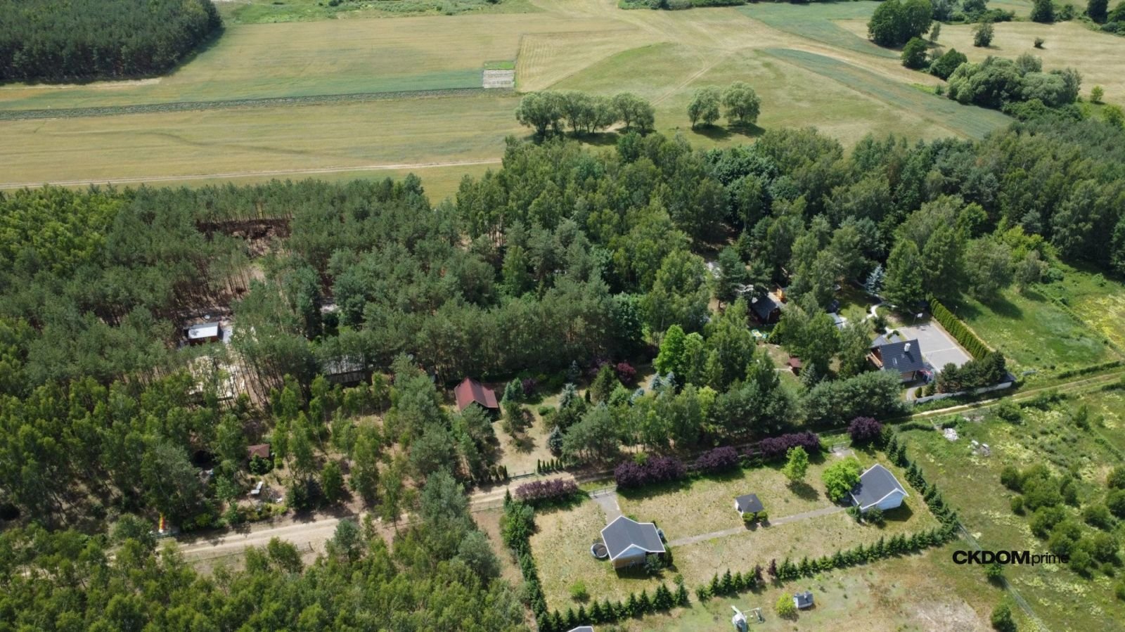 Działka z lasem na Wyłączność / Blisko aglomeracji-10 min od Domaniowa