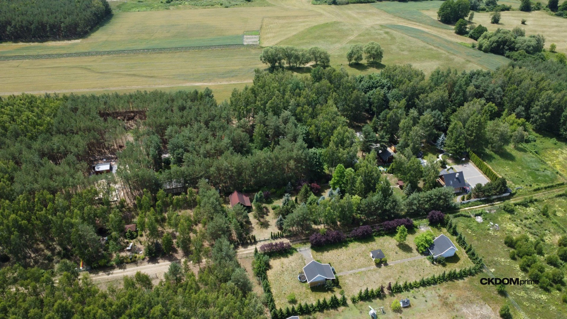 Działka z lasem na Wyłączność / Blisko aglomeracji-10 min od Domaniowa