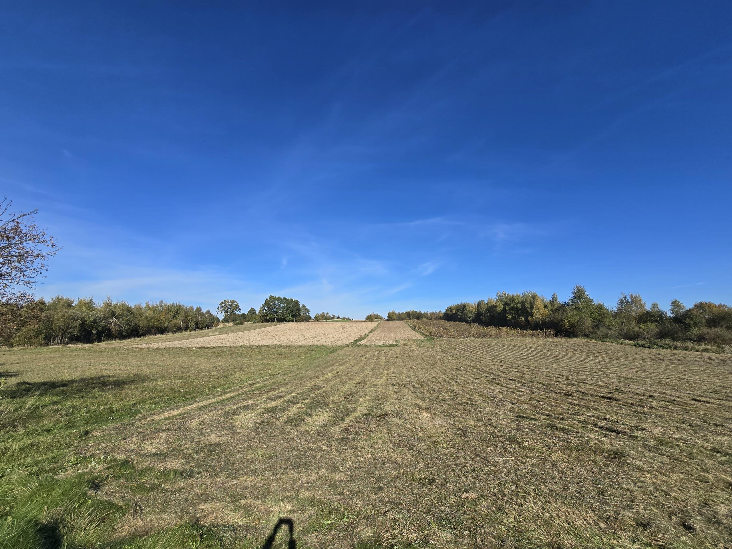 Dwie osobne działki po 3300m2 Wiącka