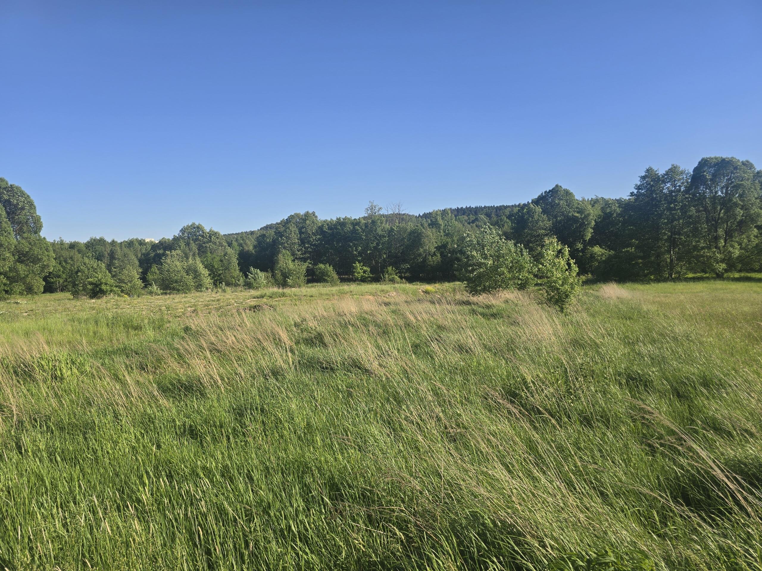 Działka 1500 m2 Kajetanów gmina Zagnańsk