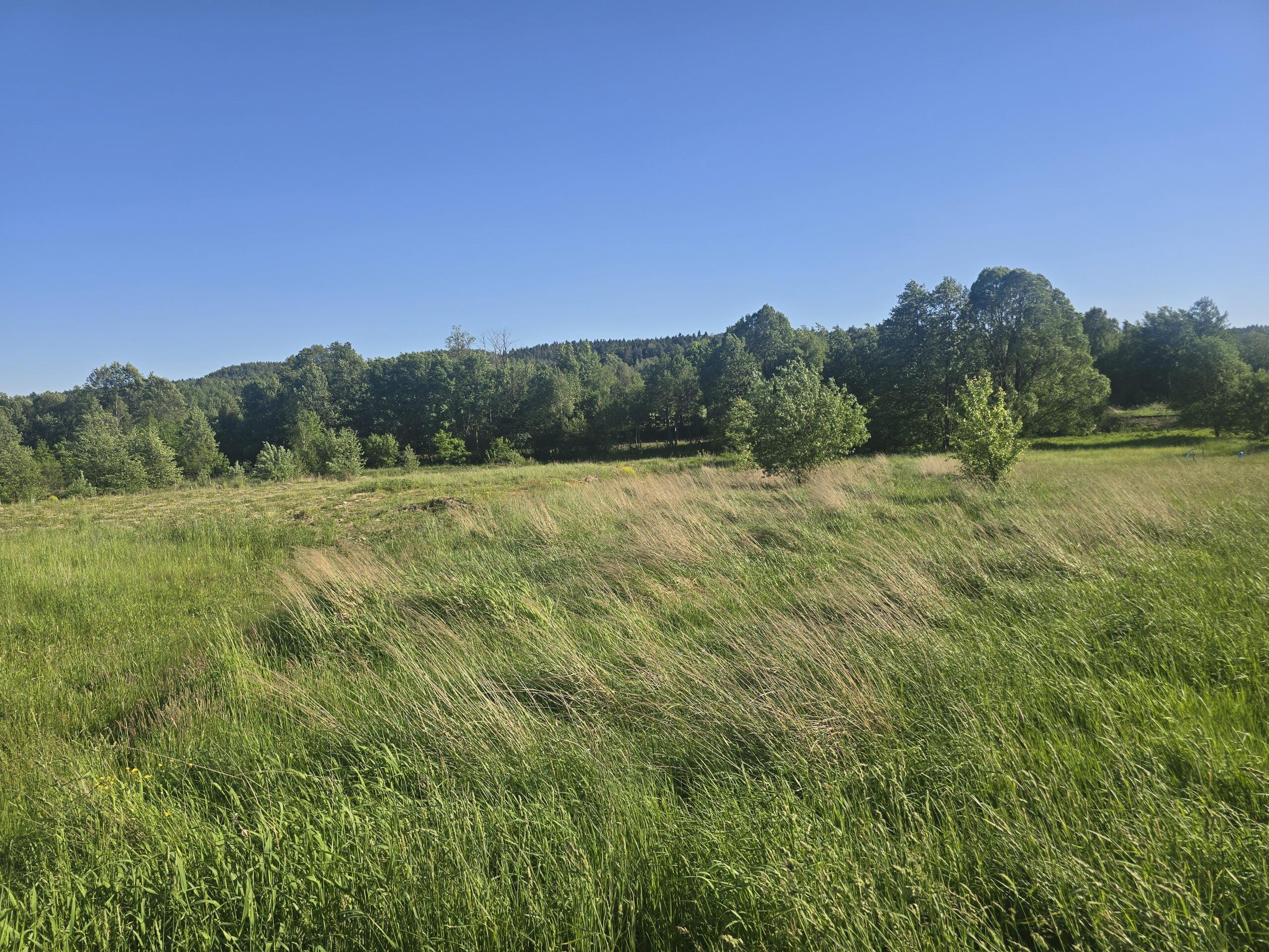 Działka 1500 m2 Kajetanów gmina Zagnańsk