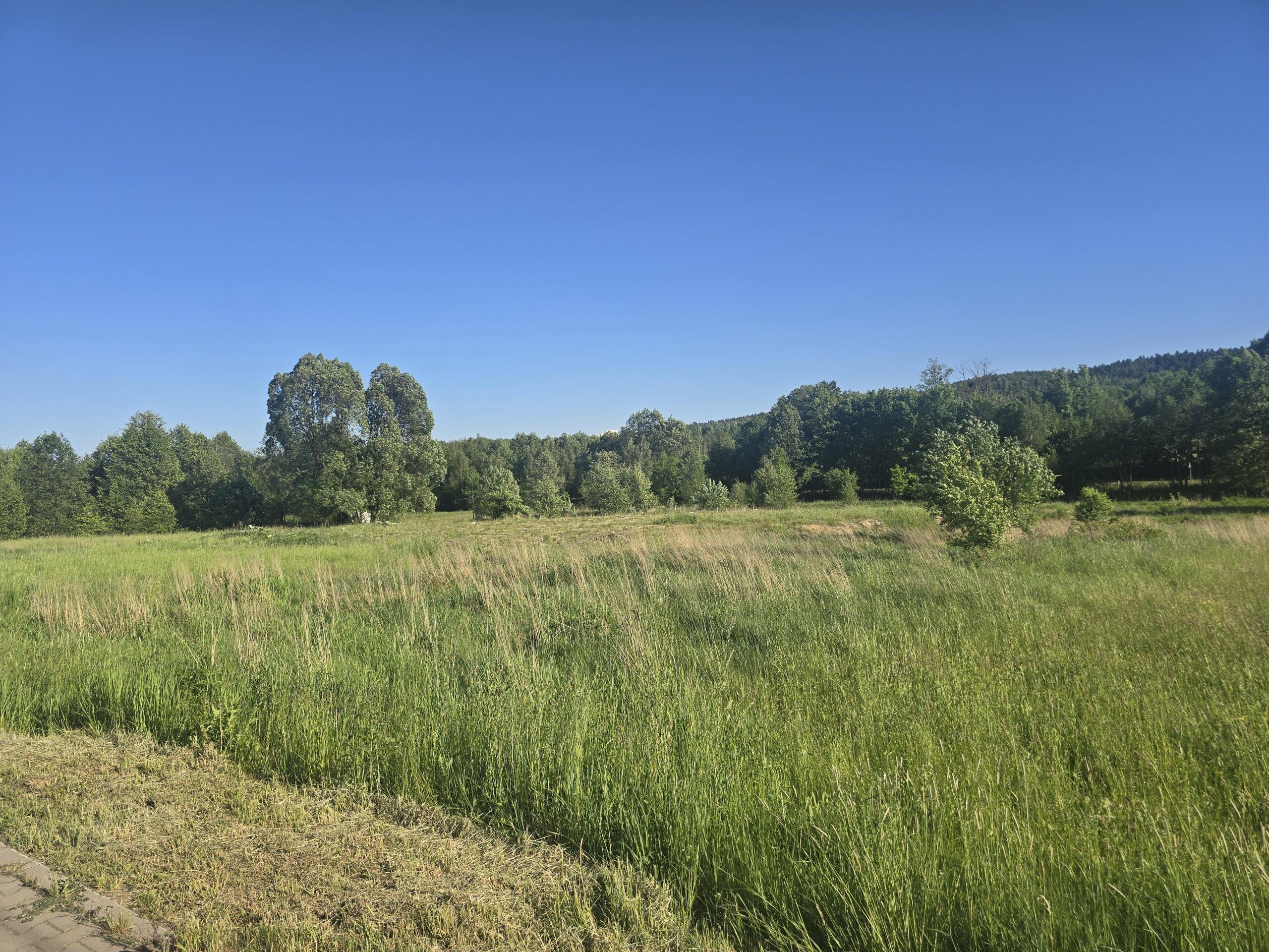 Działka 1500 m2 Kajetanów gmina Zagnańsk