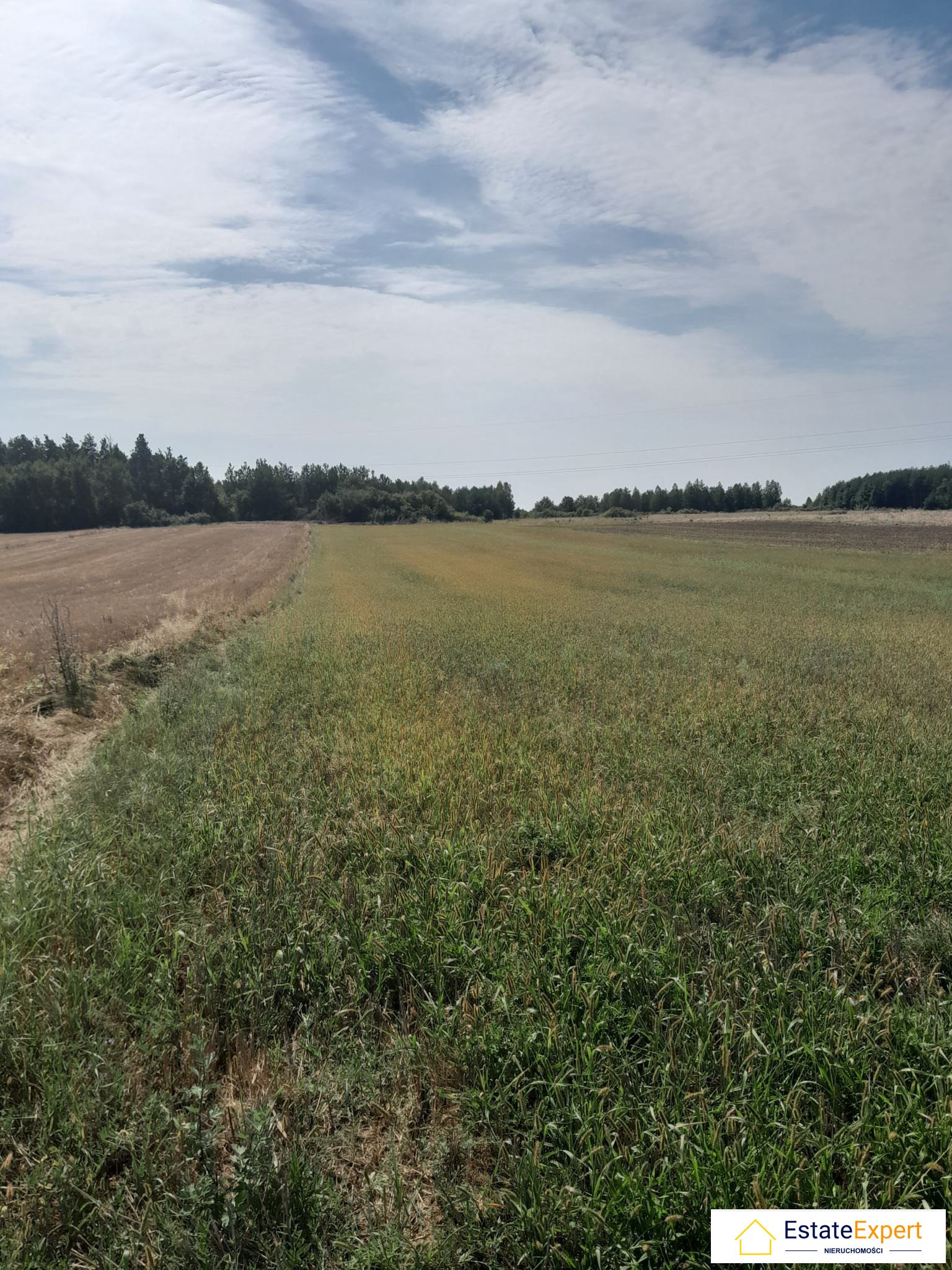 atrakcyjna działka rolna Skrzelczyce