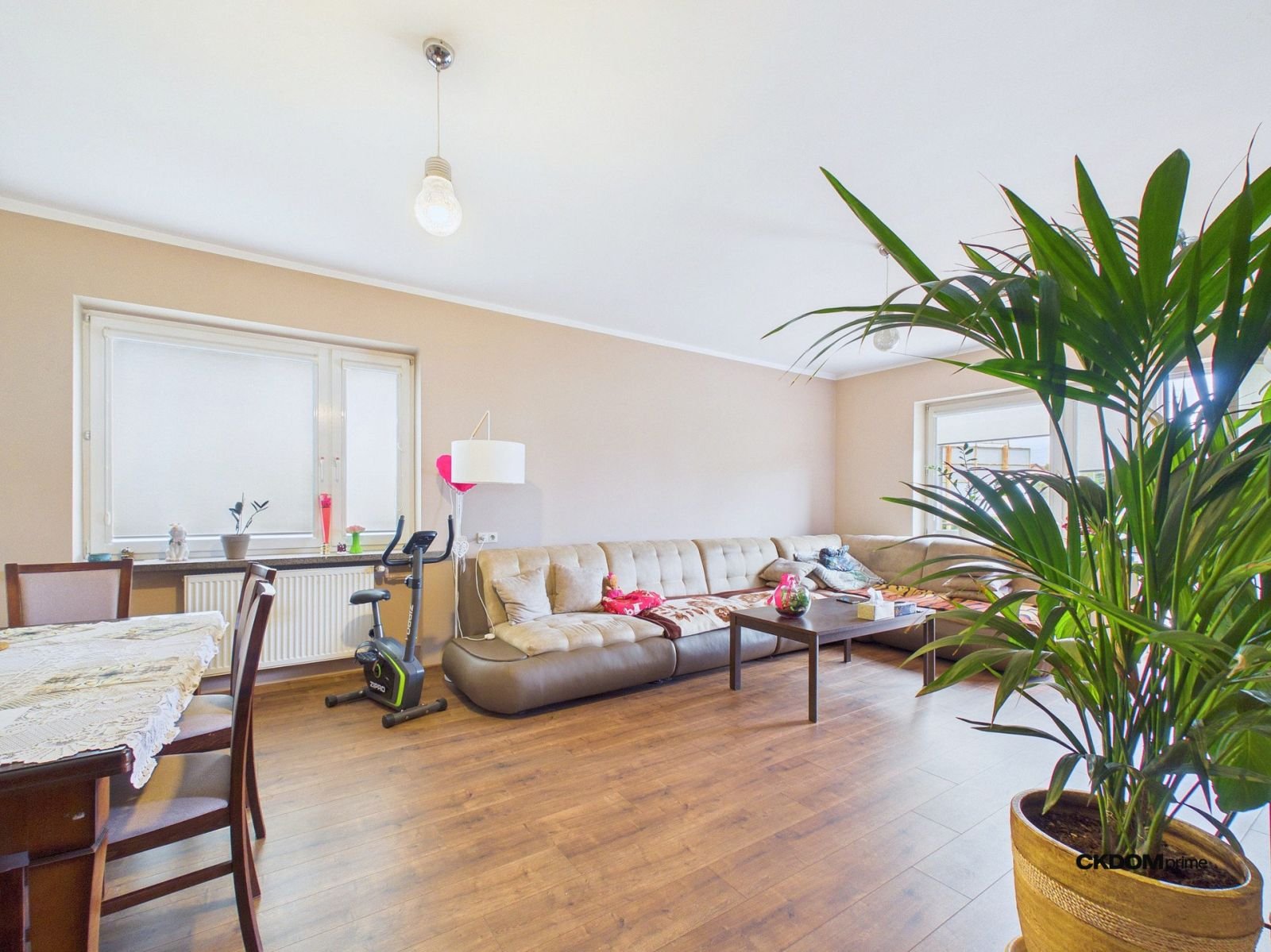 Wyjątkowy dom z działką z ogromnym potencjałem!