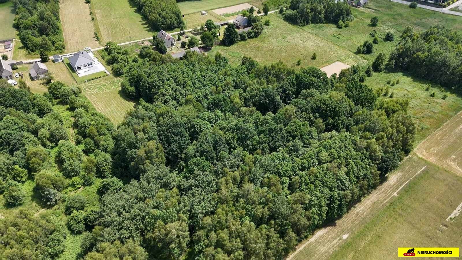 Działka rolno-budowlana  4665 m²  Masłow Pierwszy