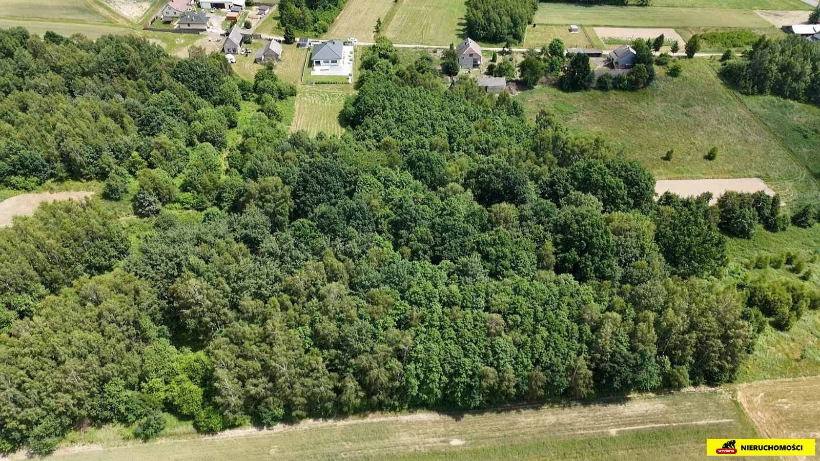 Działka rolno-budowlana  4665 m²  Masłow Pierwszy