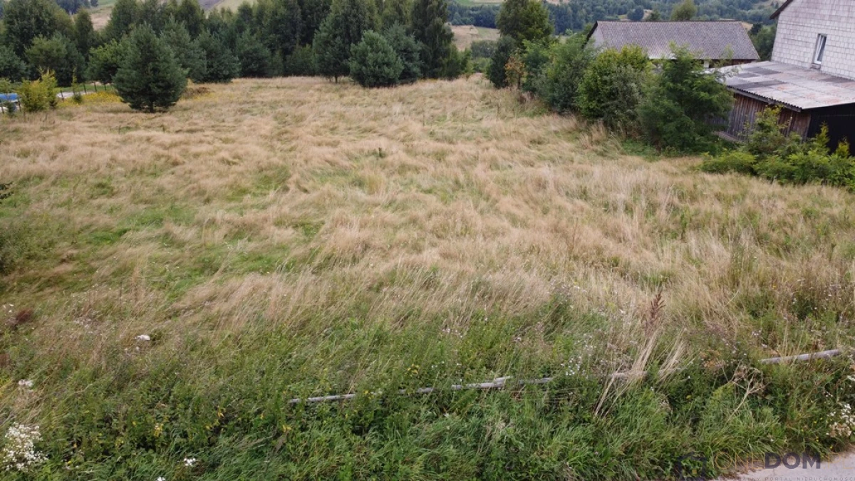 Działka rolno-budowlana Radkowice-Kolonia