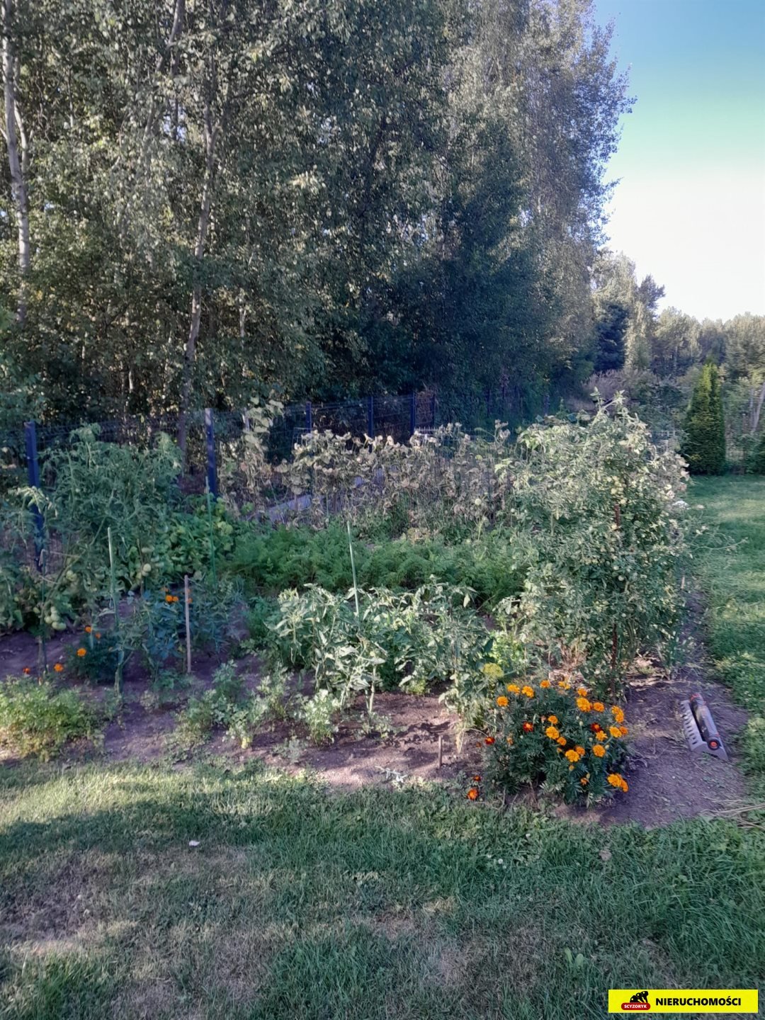 Dom 117 m² wśród lasów , Las Winiarski