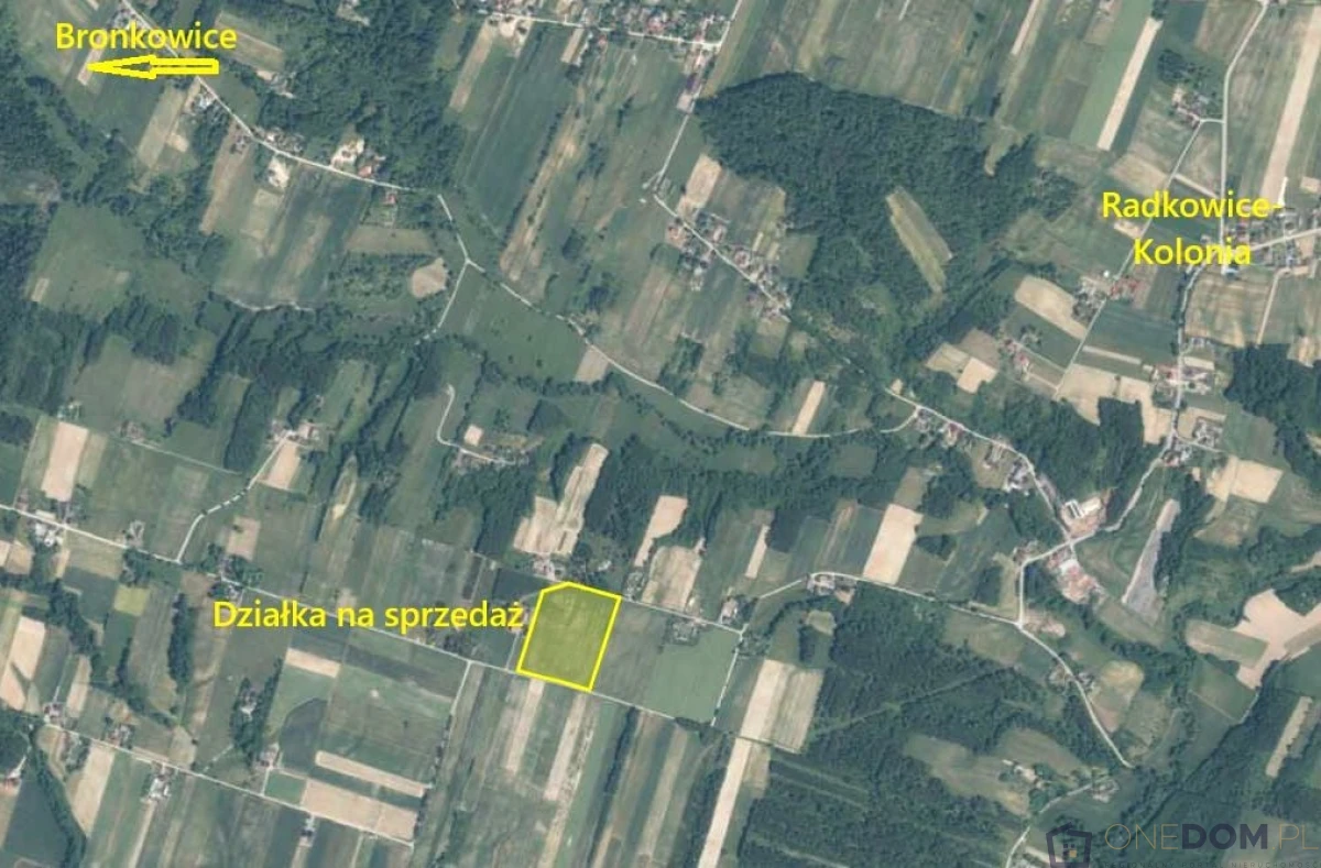 Działka rolno-budowlana Radkowice-Kolonia