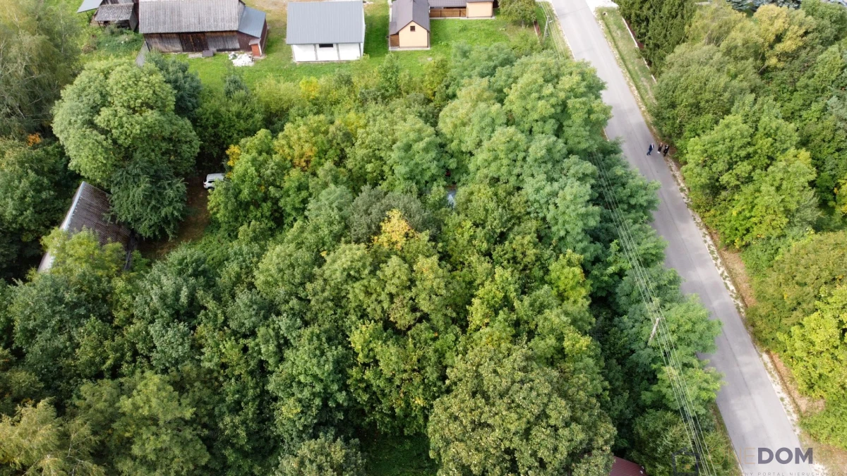 Dom z dużą działką, Małomierzyce , gmina Iłża