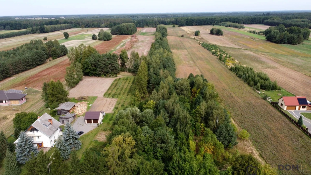 Działka rolna Małomierzyce, gmina Iłża