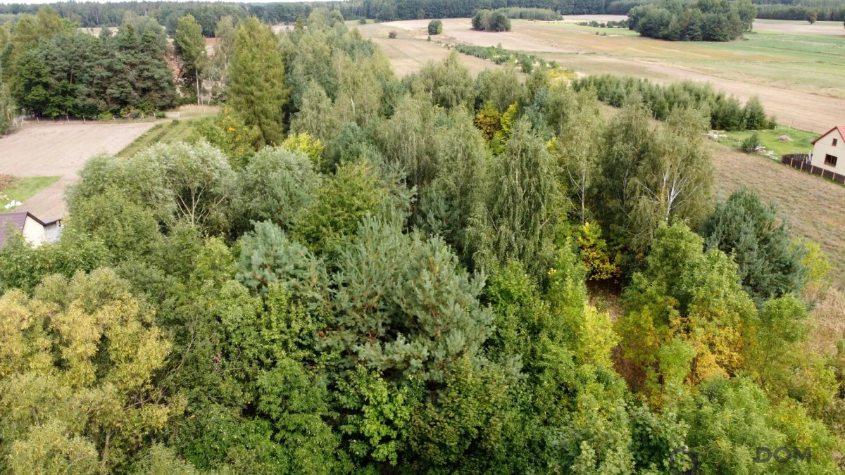 Działka rolna Małomierzyce, gmina Iłża