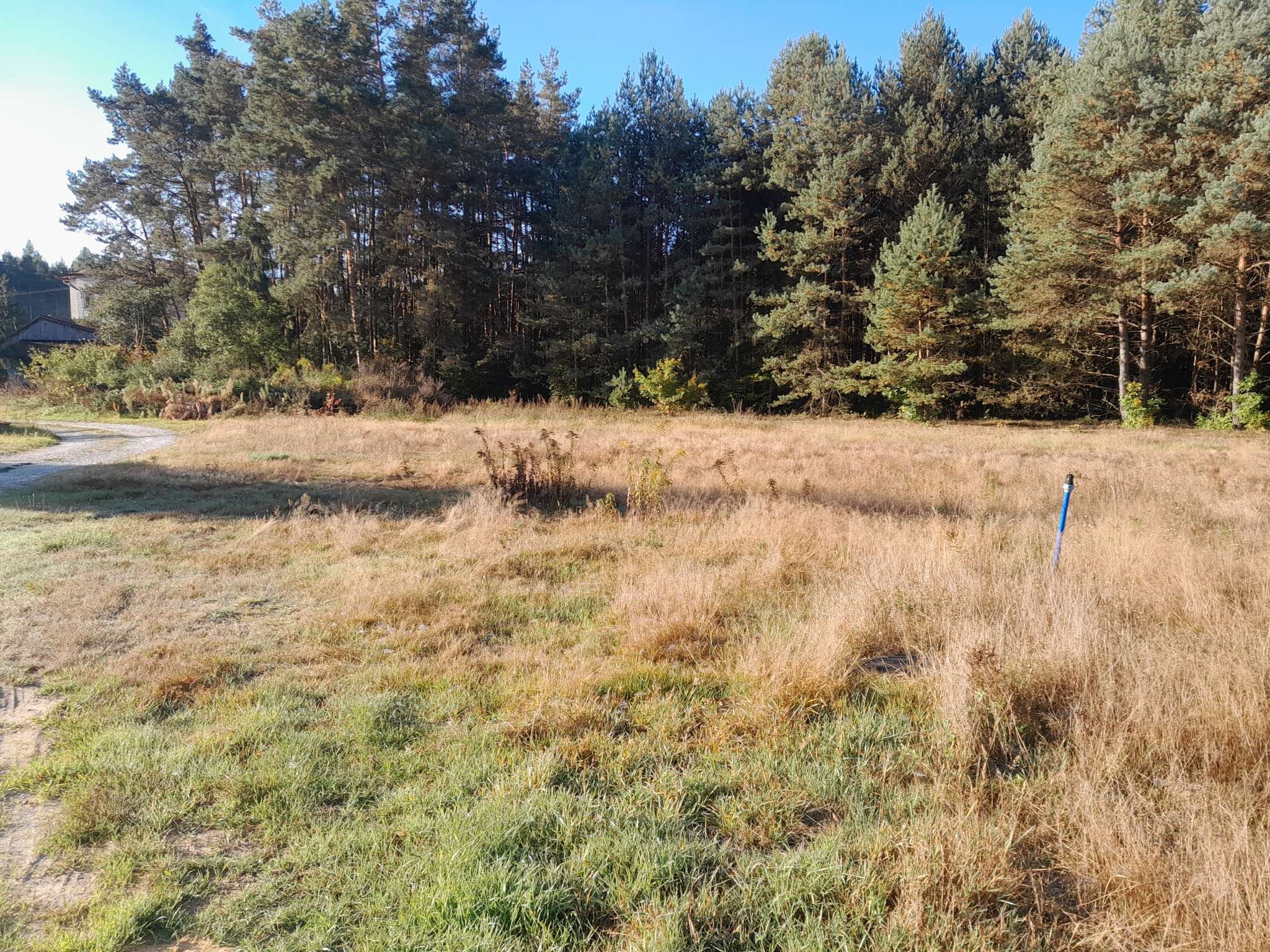 Atrakcyjna działka budowlana w Niwach tuż przy lesie