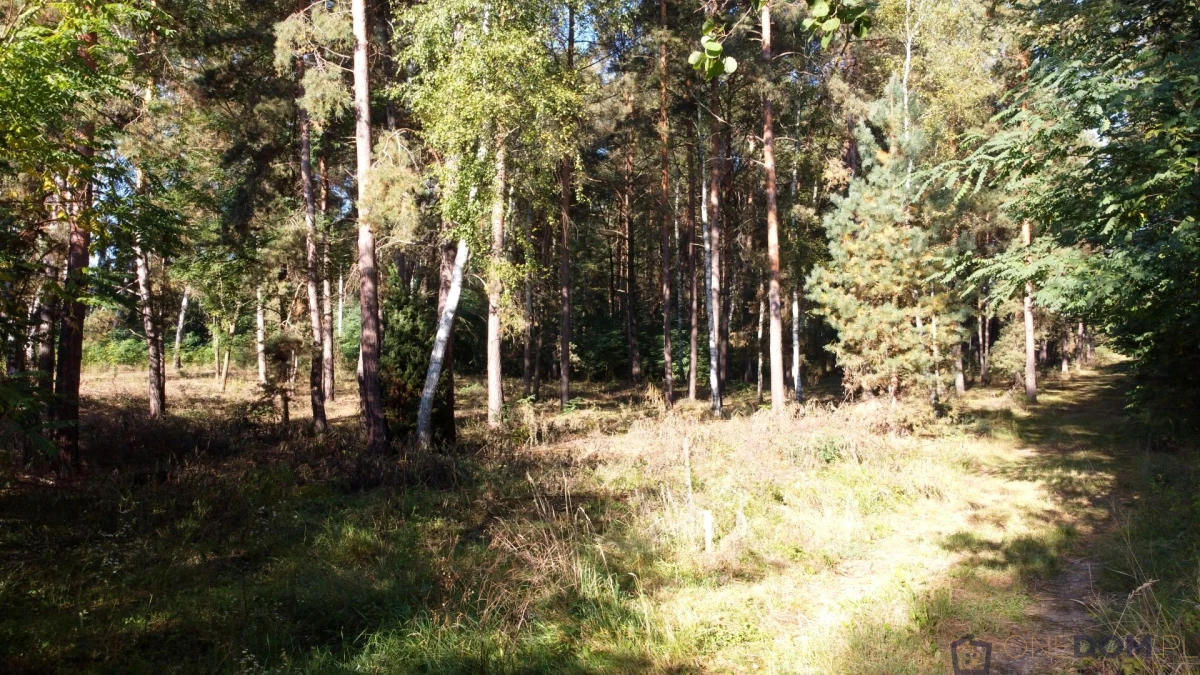 Działka budowlana, ul. Ostrowiecka, Kunów