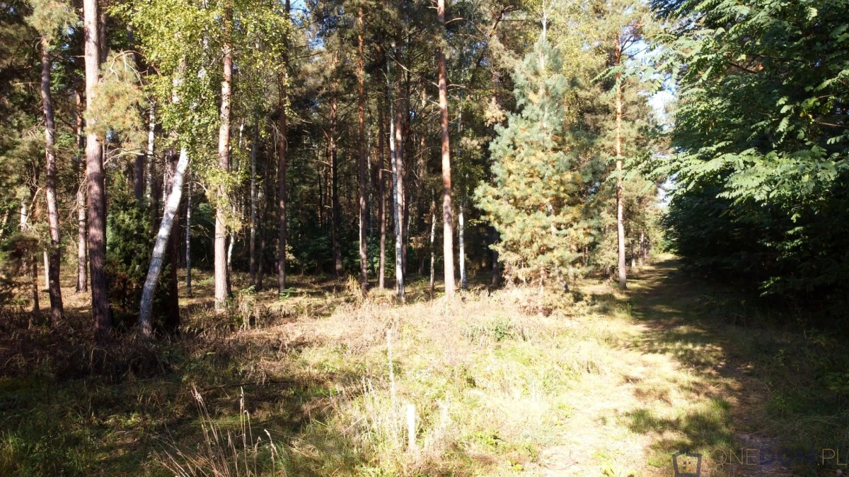 Działka budowlana, ul. Ostrowiecka, Kunów