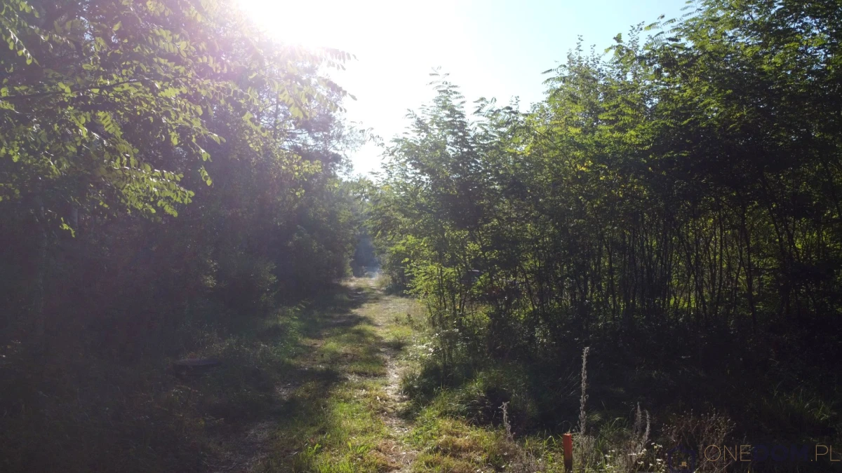 Działka budowlana, ul. Ostrowiecka, Kunów