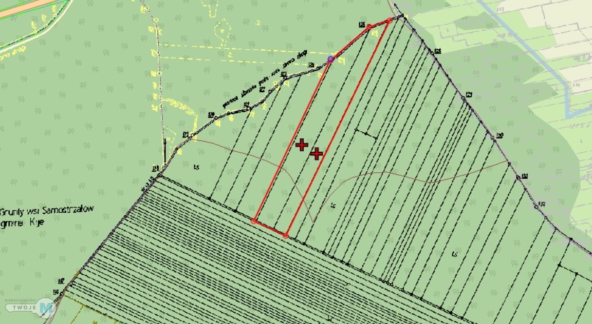 Na sprzedaż las o powierzchni 43,1ha gm.Chmielnik