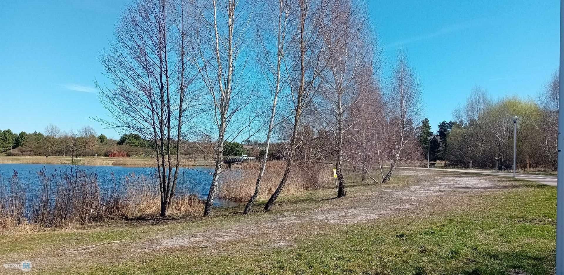Nieruchomość nad zalewem z prywatnym lasem!