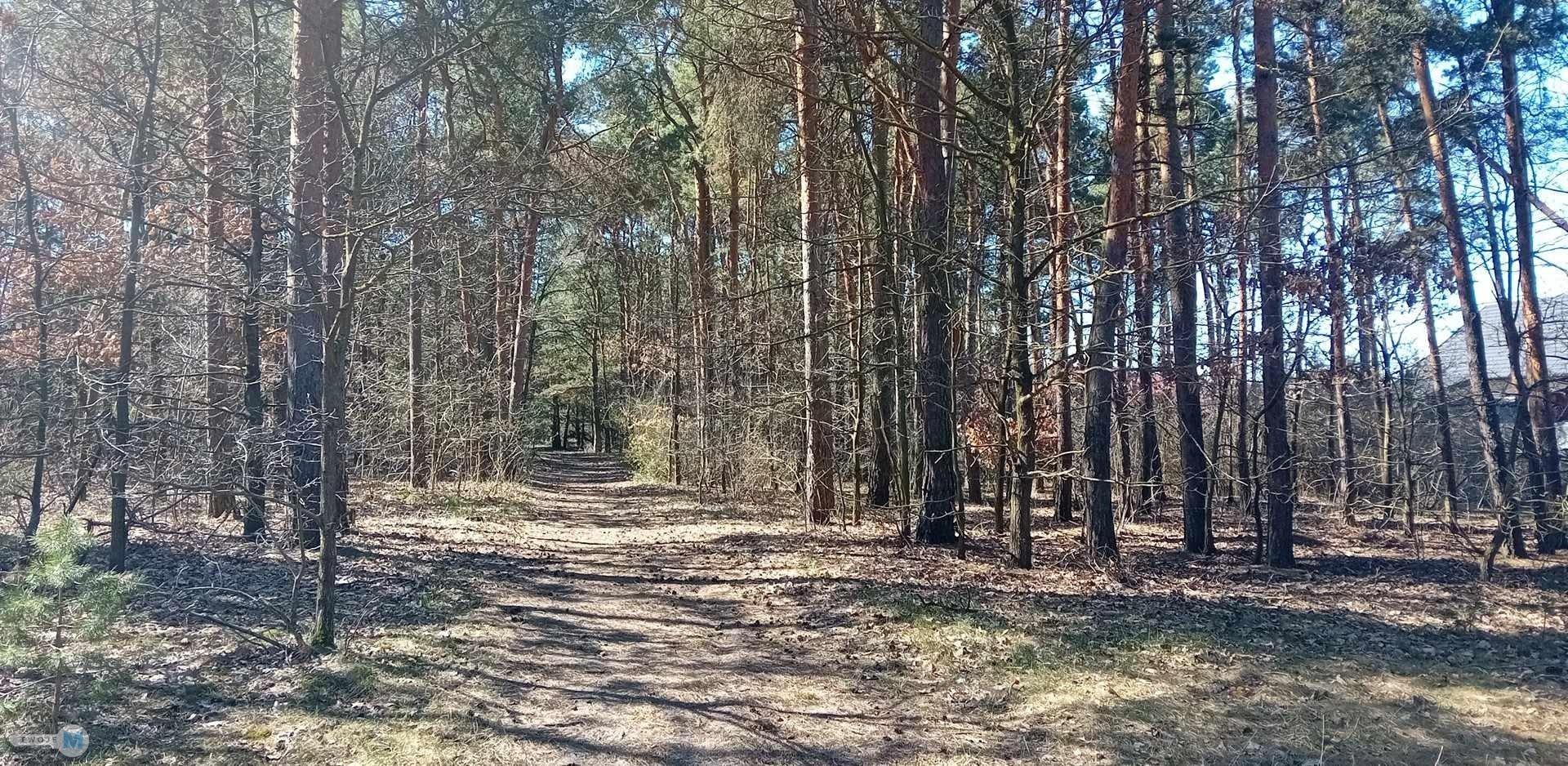 Nieruchomość nad zalewem z prywatnym lasem!