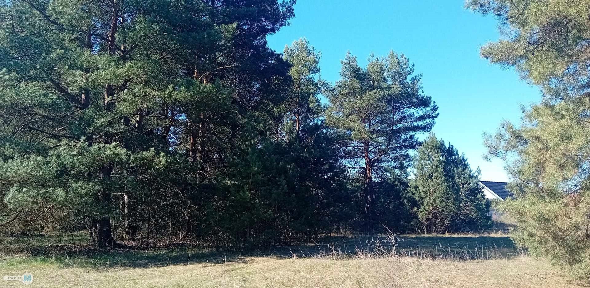 Nieruchomość nad zalewem z prywatnym lasem!
