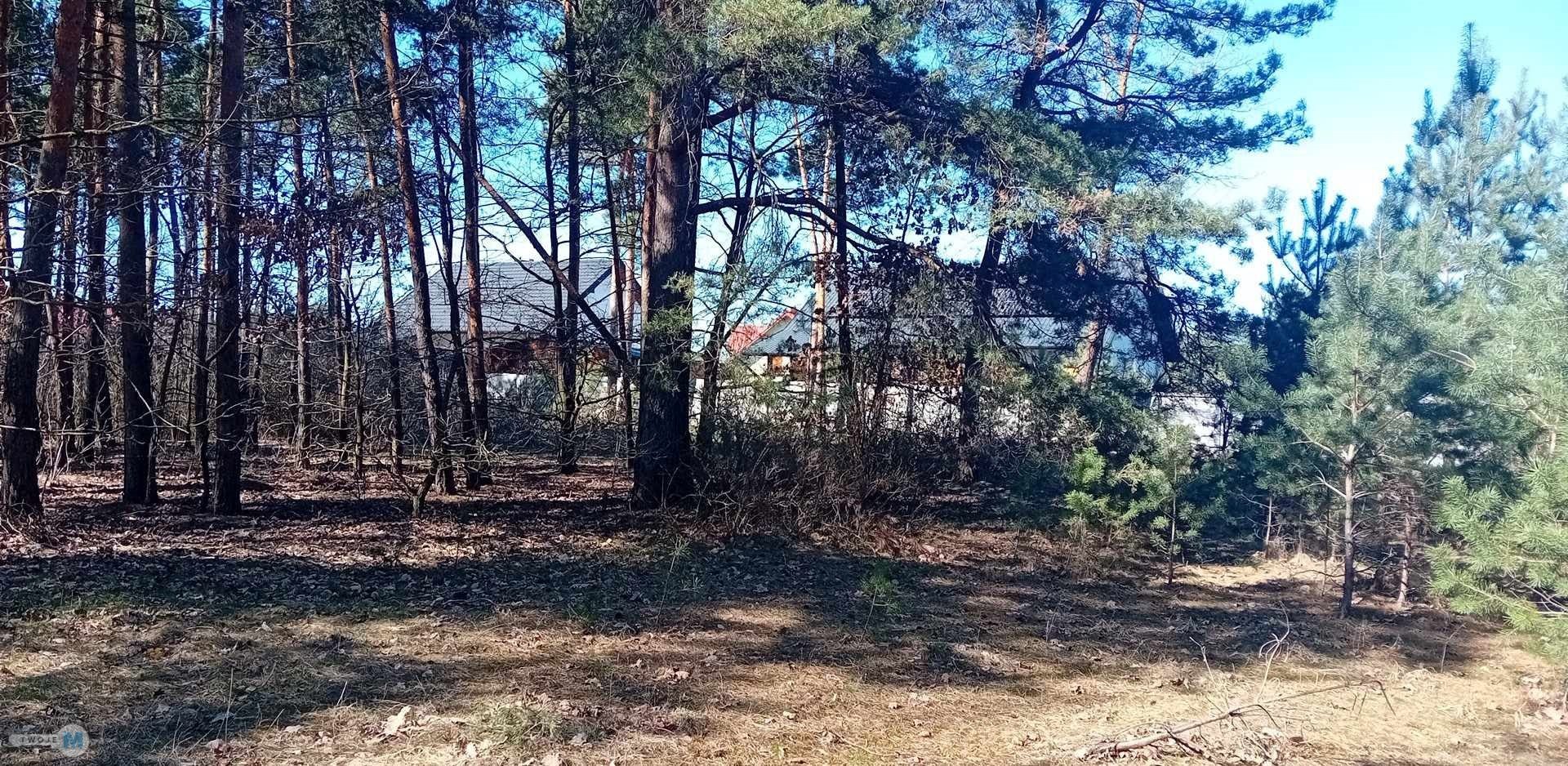 Nieruchomość nad zalewem z prywatnym lasem!