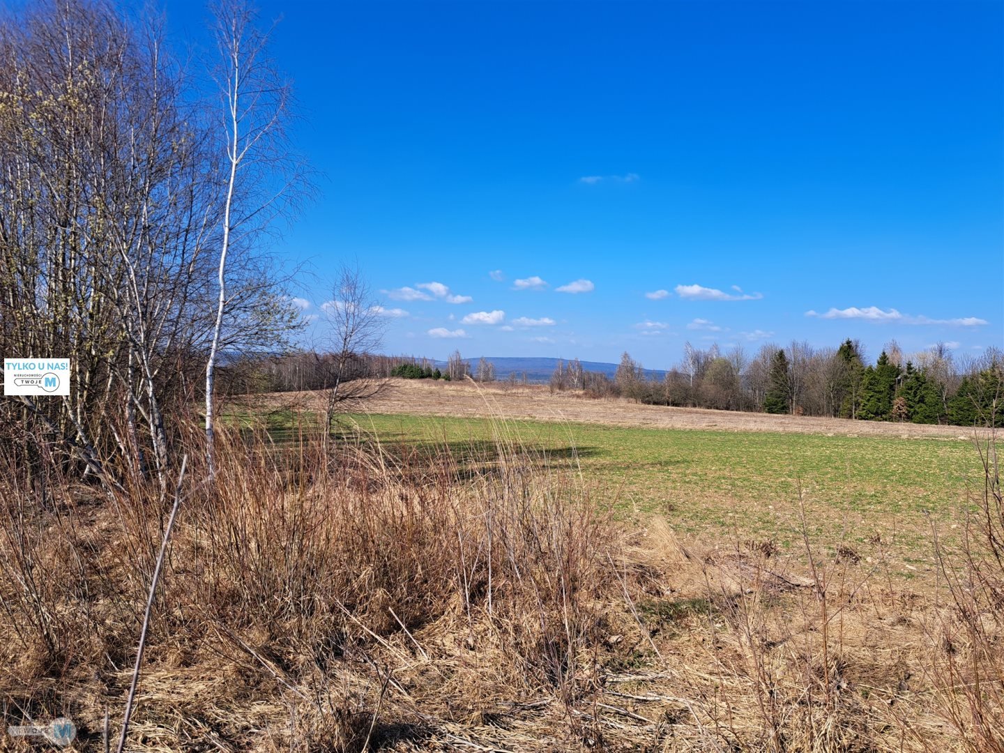 Widokowa działka - stadnina koni, agroturystyka!