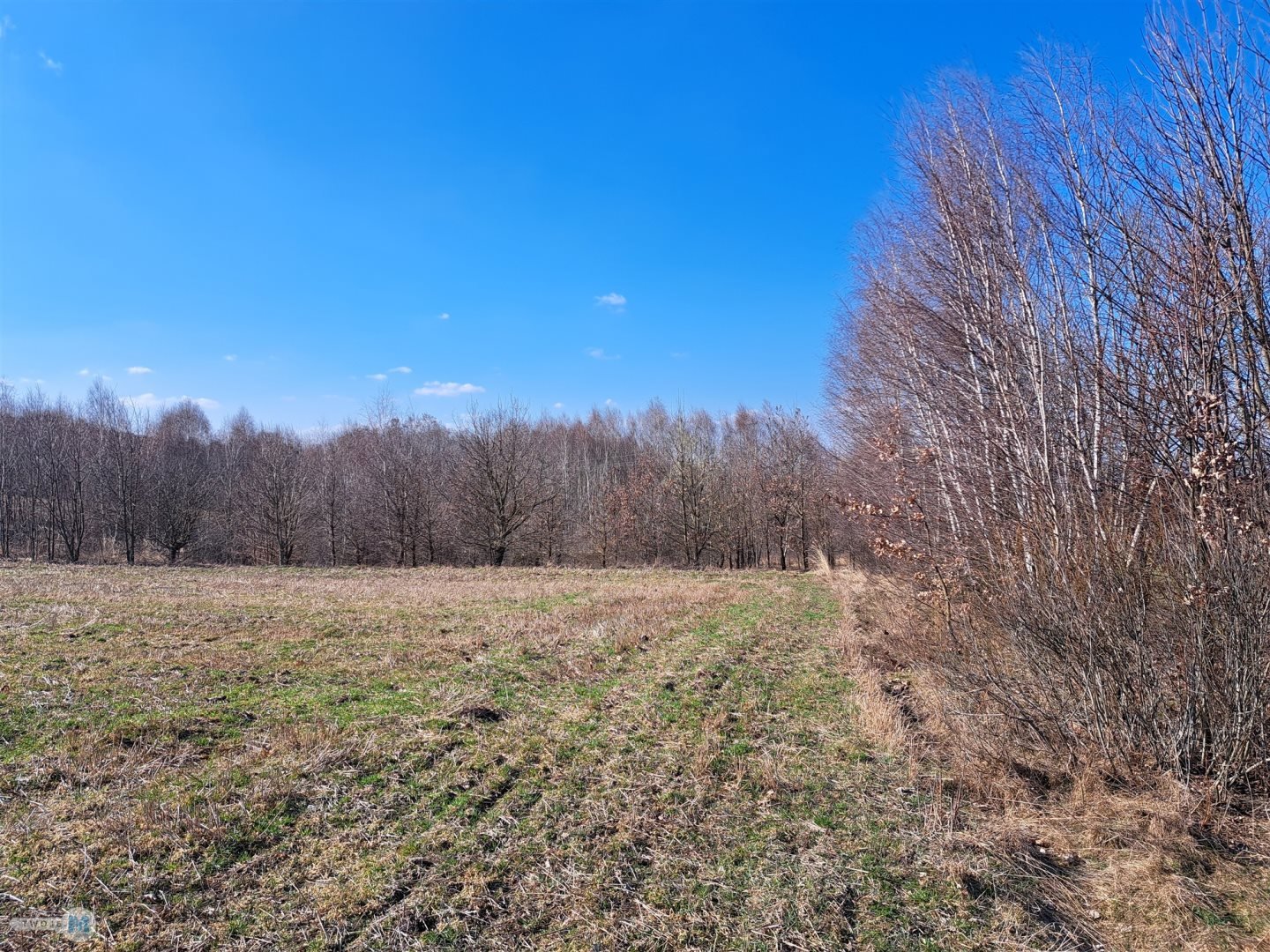 Widokowa działka - stadnina koni, agroturystyka!