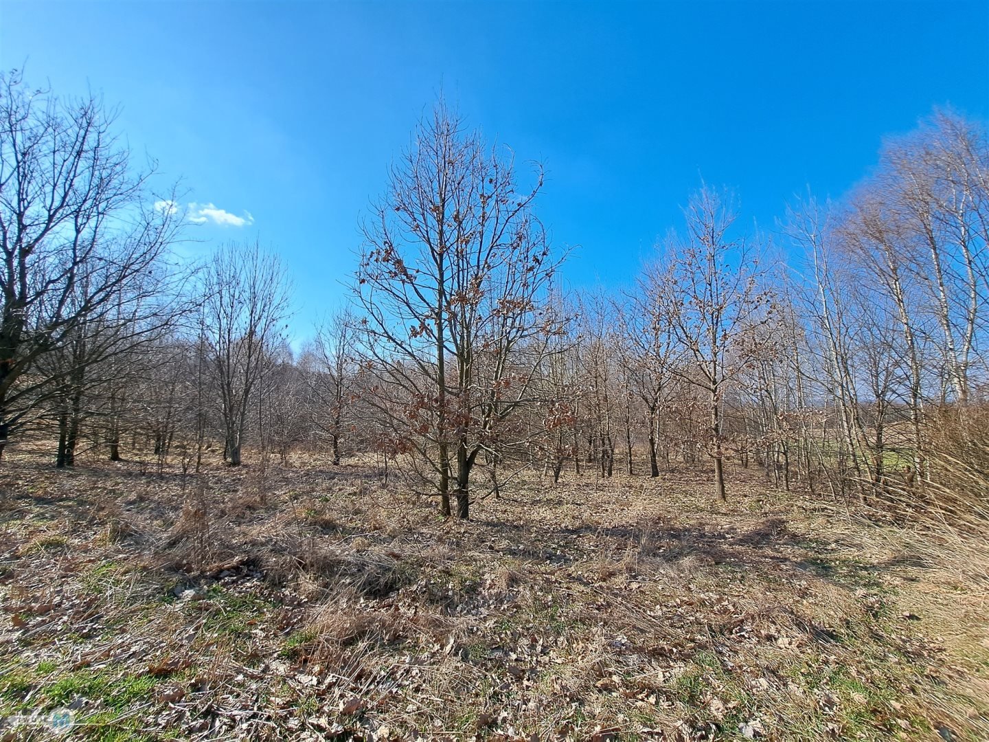 Widokowa działka - stadnina koni, agroturystyka!
