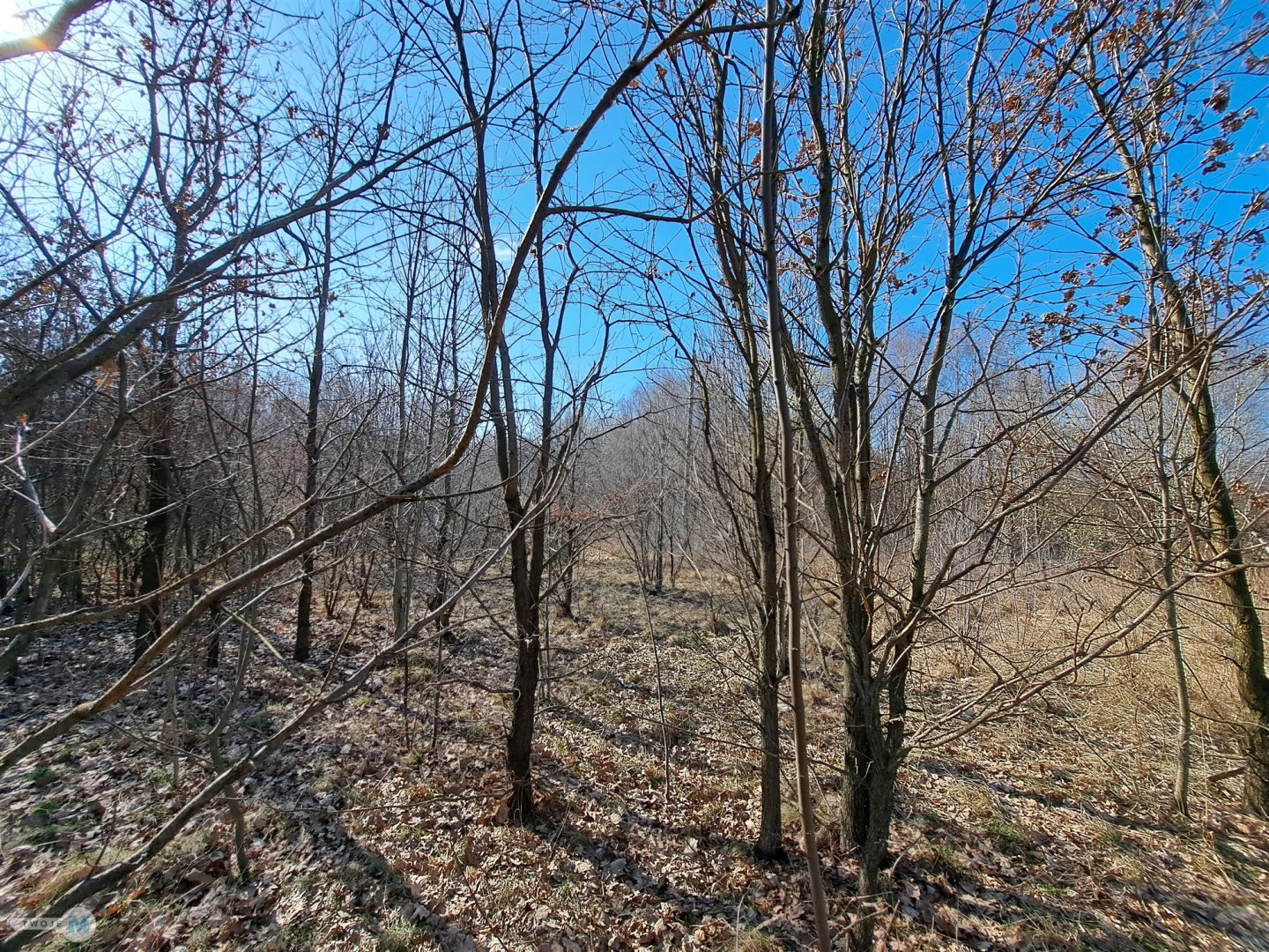 Widokowa działka - stadnina koni, agroturystyka!