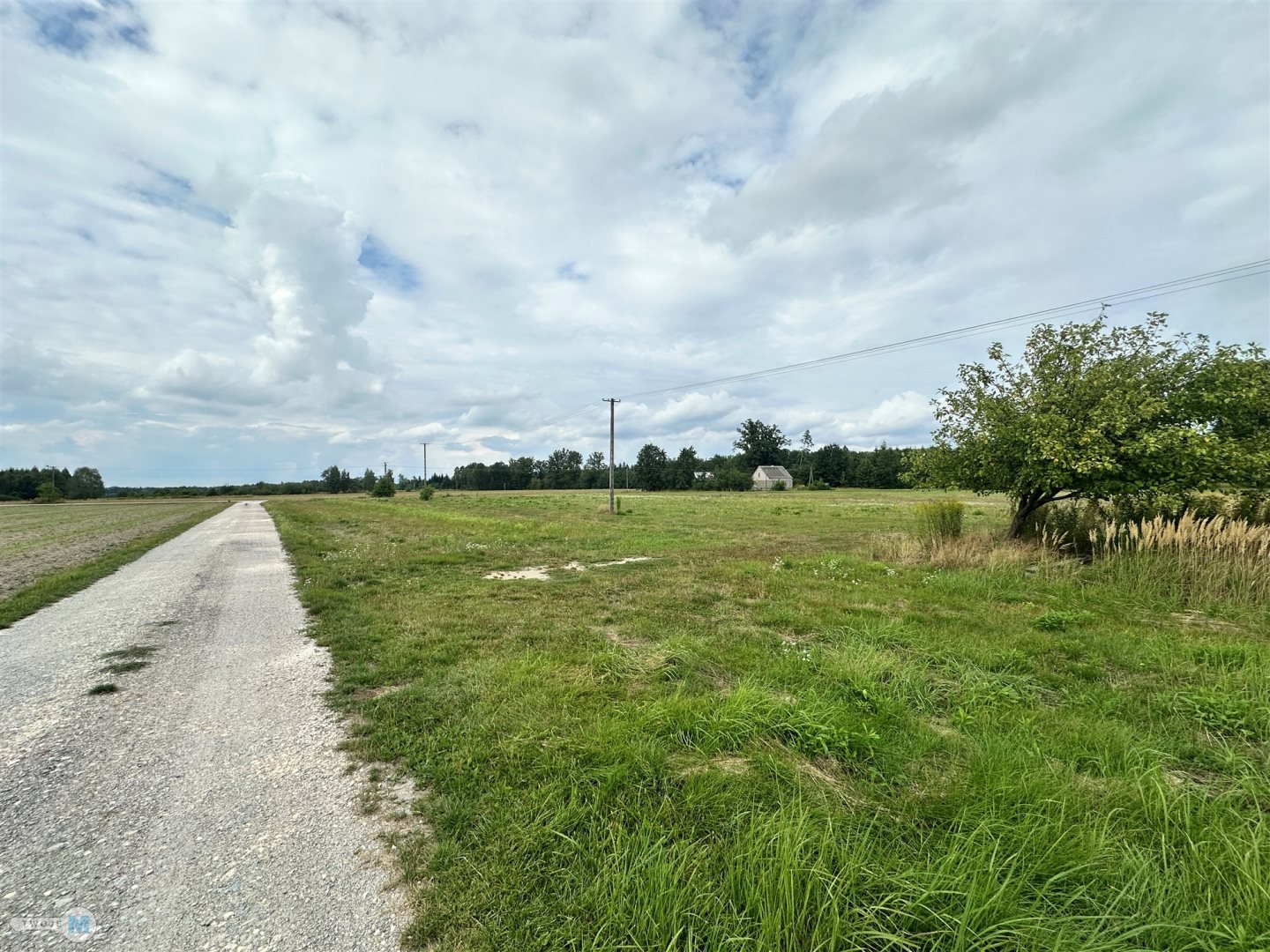 DOM POD LASEM + DUŻA DZIAŁKA 7668 m² | OKSA