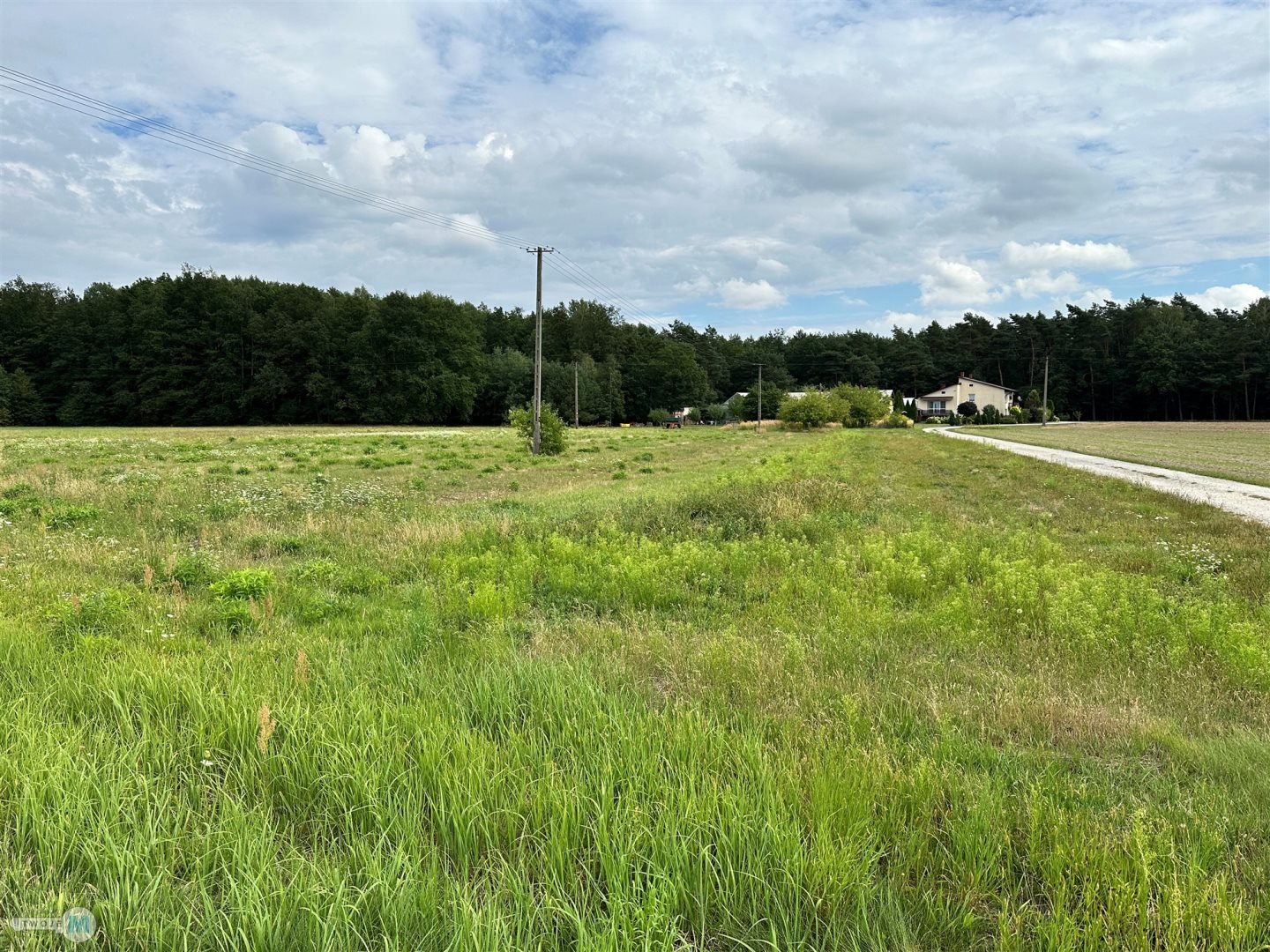 DOM POD LASEM + DUŻA DZIAŁKA 7668 m² | OKSA