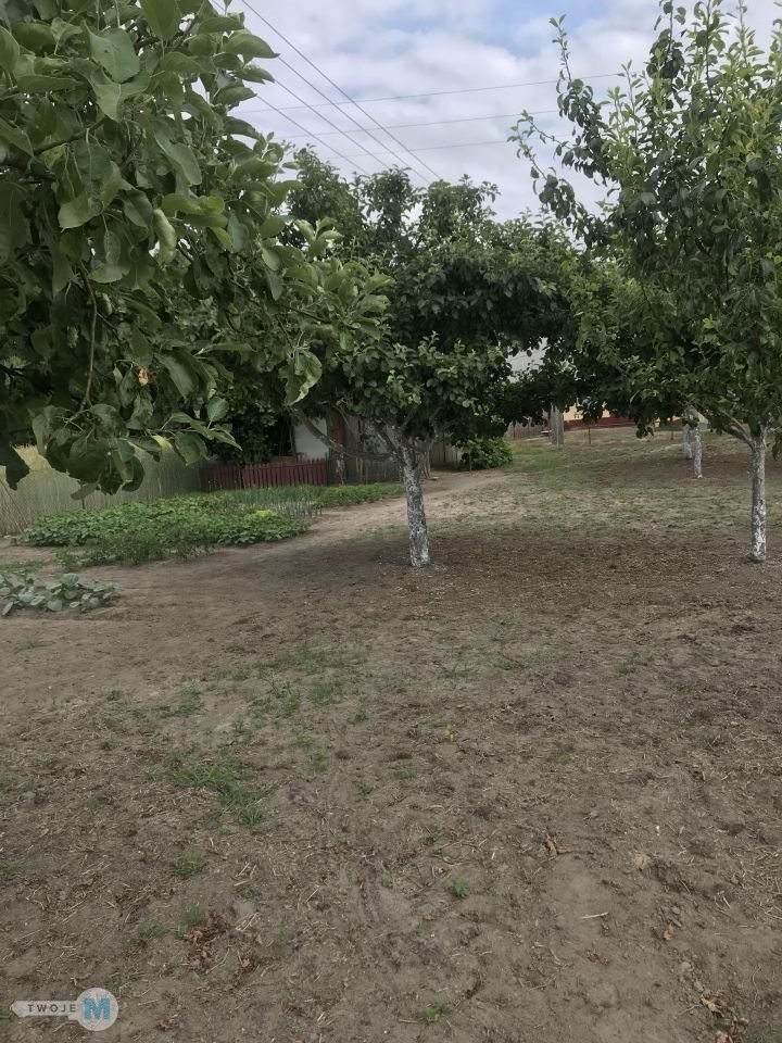DOM POD LASEM + DUŻA DZIAŁKA 7668 m² | OKSA