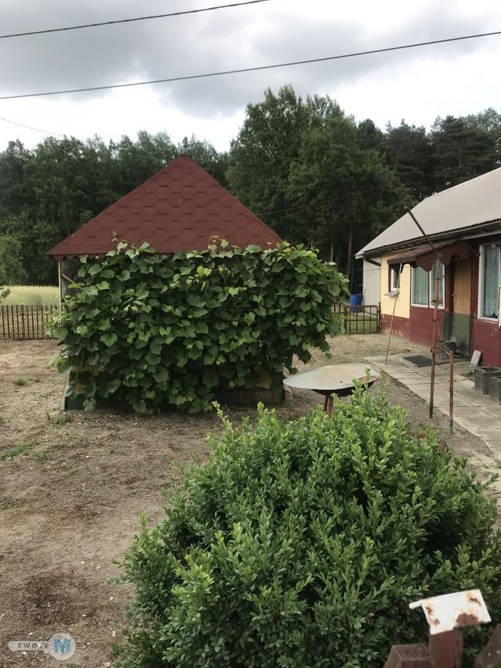 DOM POD LASEM + DUŻA DZIAŁKA 7668 m² | OKSA