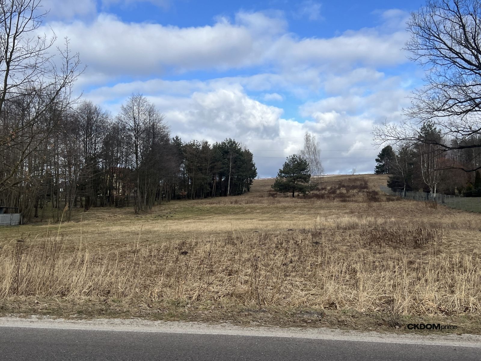 Wyjątkowa działka na sprzedaż – 1 ha w Rytwianach